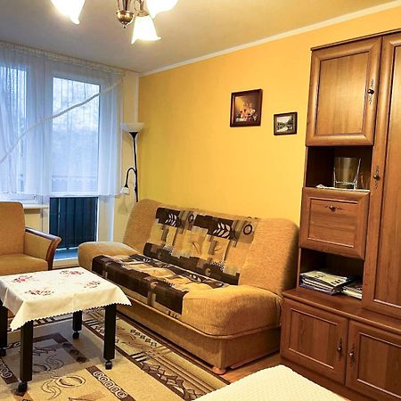 Apartament Na Nowickiego Наленчув Екстер'єр фото